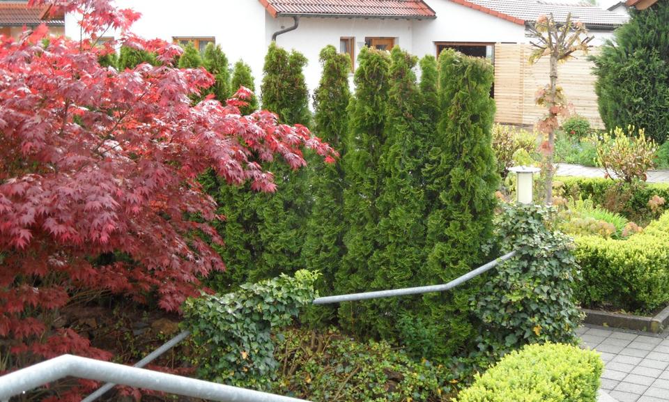 Mehrfamilienhaus, Wohnhaus Lorch - 7 Zimmer, 245 m&sup2;, 795.000&euro; | Angebot:25395949