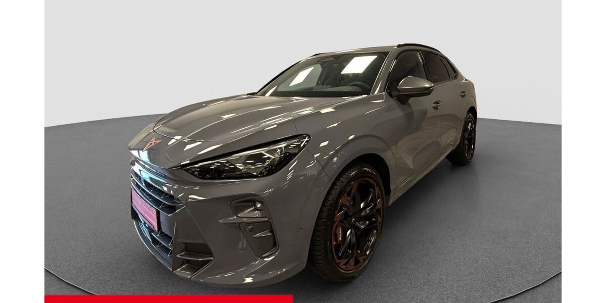 Cupra Terramar 9.817 km 42.890 &euro; Hüttlingen 73460