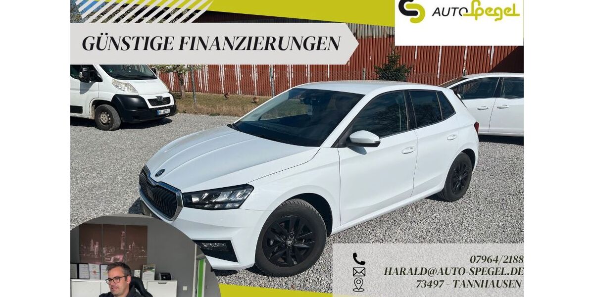 Skoda Fabia 26.671 km 16.390 &euro; Tannhausen 73497