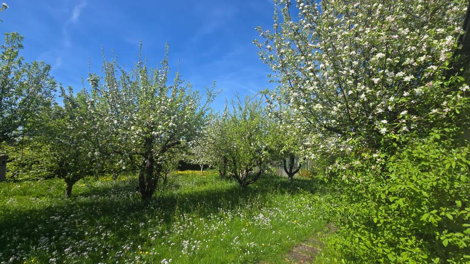 Einfamilienhaus Schwäbisch Gmünd Bargau - 6 Zimmer, 200 m&sup2;, 580.000&euro; | Angebot:26870761