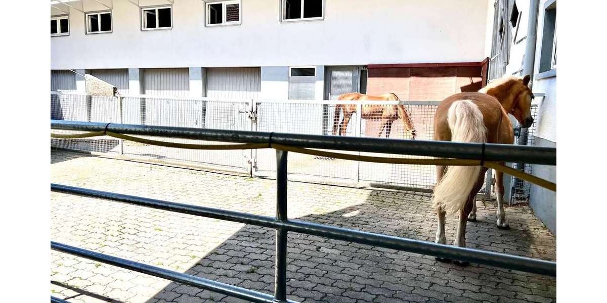 Einfamilienhaus Adelmannsfelden - 10 Zimmer, 375 m&sup2;, 1.399.000&euro; | Angebot:24620927