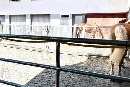 Haus Adelmannsfelden - 10 Zimmer, 375 m&sup2;, 1.399.000&euro; | Angebot:24620927