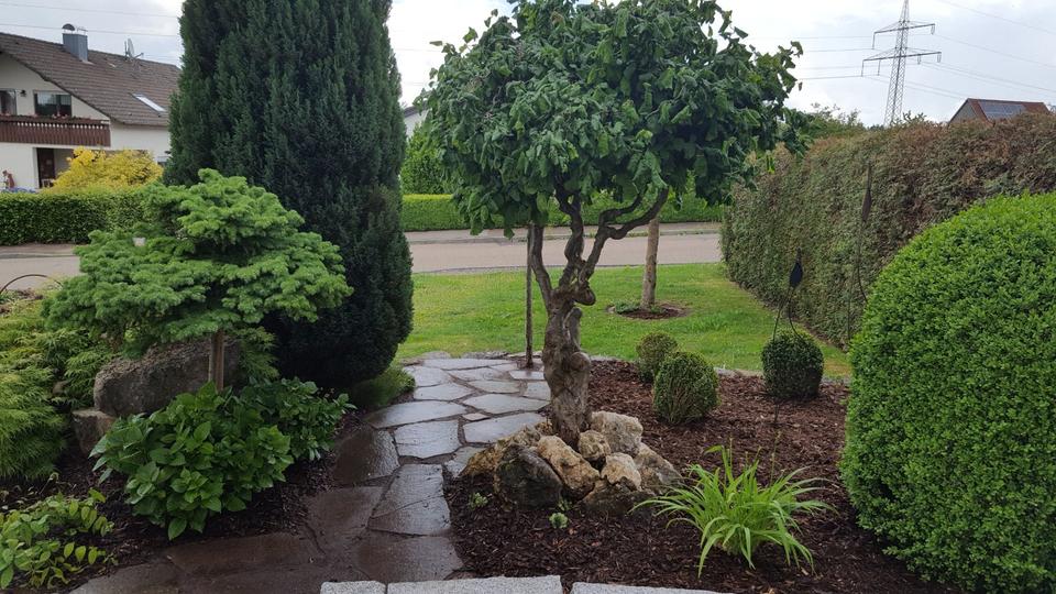 Einfamilienhaus Rosenberg - 5 Zimmer, 190 m&sup2;, 2.100&euro; | Angebot:25643745