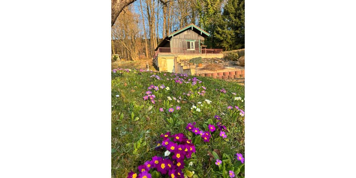 Einfamilienhaus Göggingen - 2 Zimmer, 50 m&sup2;, 160.000&euro; | Angebot:25852838