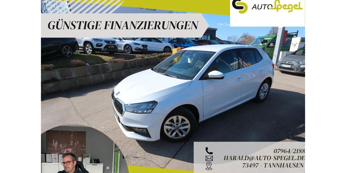 Skoda Fabia 12.854 km 17.990 &euro; Tannhausen 73497