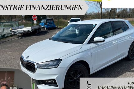 Skoda Fabia 11.503 km 16.390 &euro; Tannhausen 73497