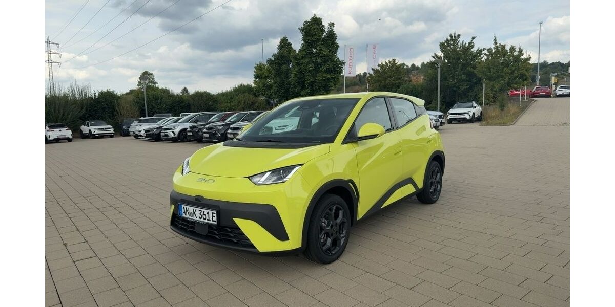 BYD DOLPHIN 8.000 km 20.990 &euro; Heidenheim 89520