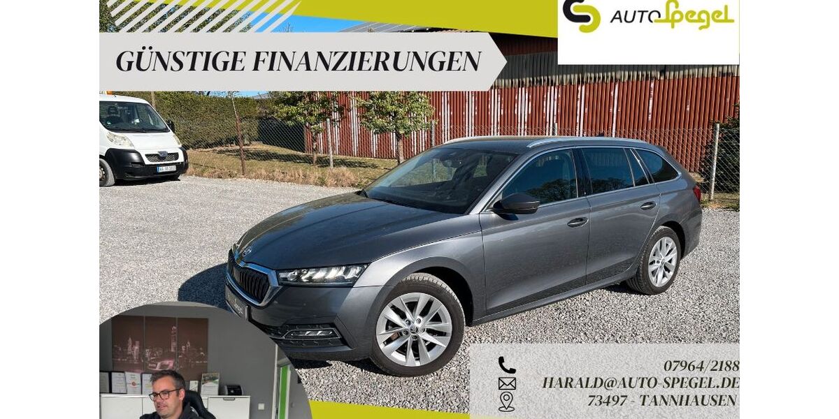 Skoda Octavia 118.134 km 19.990 &euro; Tannhausen 73497