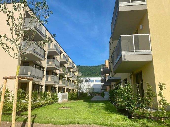 Etagenwohnung Heubach - 2 Zimmer, 65 m&sup2;, 790&euro; | Angebot:25696734