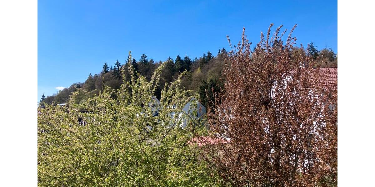Etagenwohnung Heidenheim an der Brenz Aufhausen - 4 Zimmer, 88 m&sup2;, 278.000&euro; | Angebot:26614782