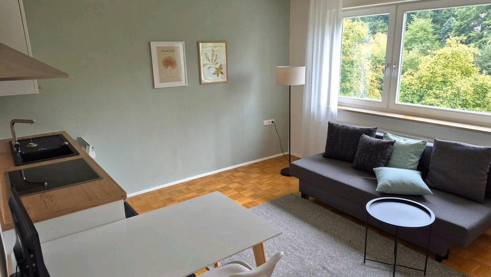 Etagenwohnung Ellwangen (Jagst) - 1 Zimmer, 30 m&sup2;, 300&euro; | Angebot:26045352