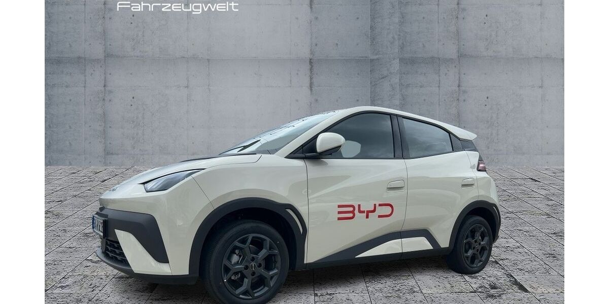 BYD DOLPHIN 2.000 km 23.298 &euro; Heidenheim 89520