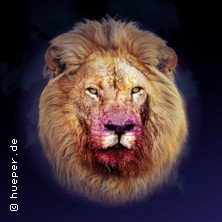 Otello 05.07.2026 Schloß Hellenstein