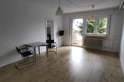 Wohnung Gschwend - 1 Zimmer, 33 m&sup2;, 570&euro; | Angebot:27583334