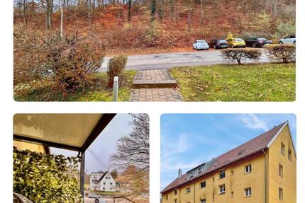 Wohnung Königsbronn - 2 Zimmer, 46 m&sup2;, 620&euro; | Angebot:27548711