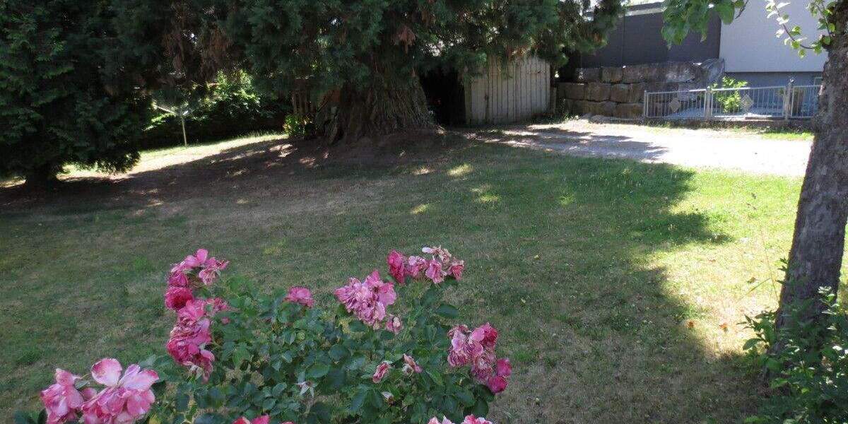 Einfamilienhaus Rosenberg - 280.000&euro; | Angebot:25666017