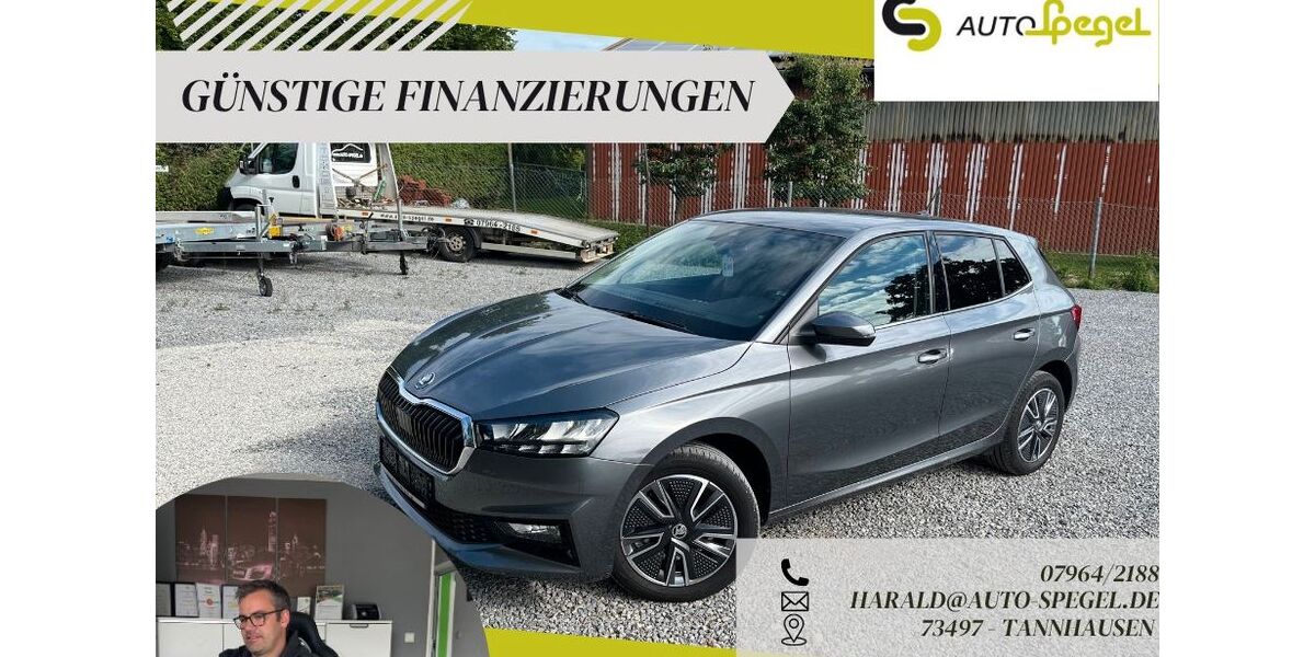 Skoda Fabia 18.612 km 16.390 &euro; Tannhausen 73497