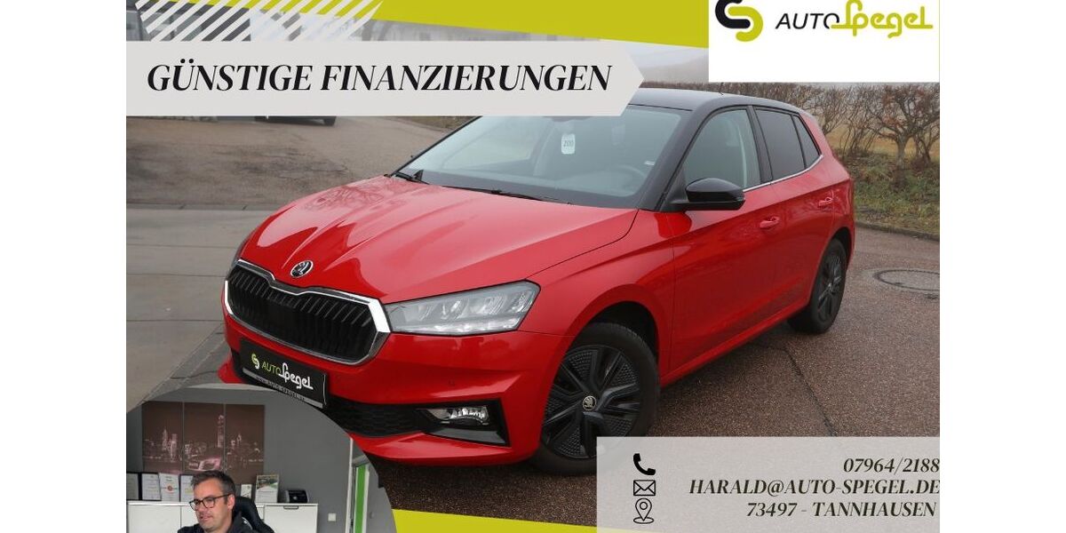 Skoda Fabia 14.213 km 17.990 &euro; Tannhausen 73497