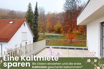 Wohnung Heidenheim an der Brenz - 2 Zimmer, 67 m&sup2;, 915&euro; | Angebot:25919068