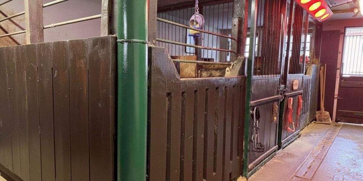 Mehrfamilienhaus, Wohnhaus Adelmannsfelden - 1 Zimmer, 375 m&sup2;, 1.399.000&euro; | Angebot:25746495