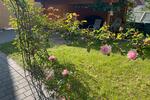 Einfamilienhaus Essingen - 10 Zimmer, 110 m&sup2;, 410.000&euro; | Angebot:26536152