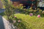 Einfamilienhaus Essingen - 3 Zimmer, 110 m&sup2;, 395.000&euro; | Angebot:27003672
