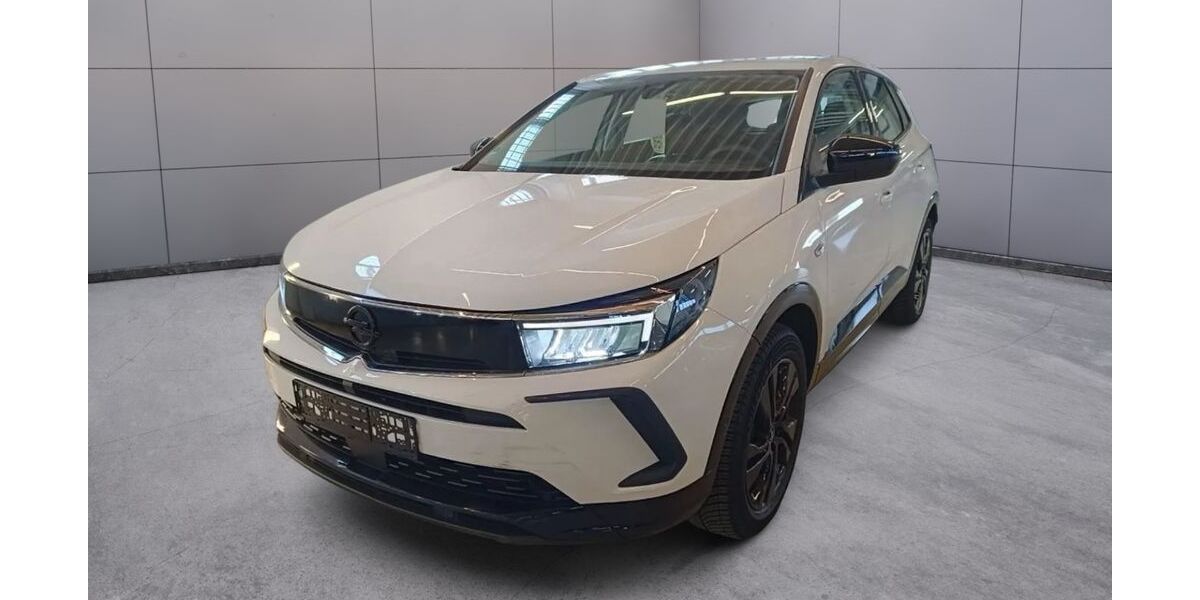 Opel Grandland (X) 30.000 km 19.299 &euro; Heidenheim 89520