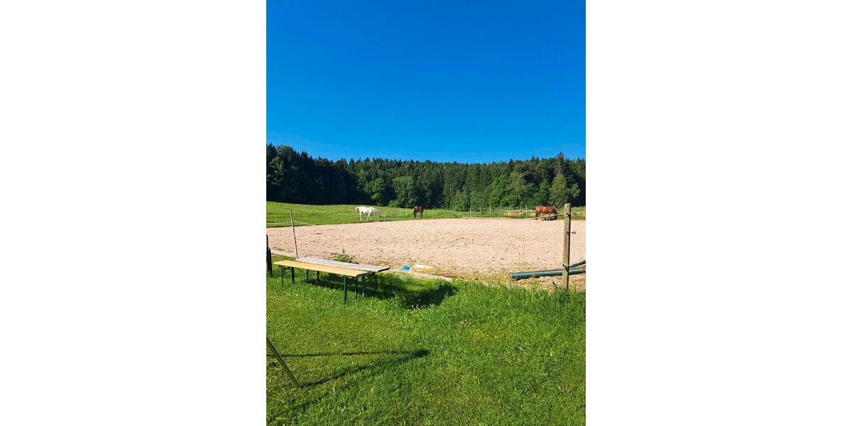 Einfamilienhaus Gschwend - 8 Zimmer, 170 m&sup2;, 1.050.000&euro; | Angebot:26704685