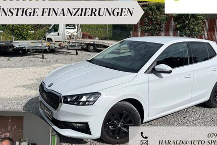 Skoda Fabia 21.323 km 16.390 &euro; Tannhausen 73497