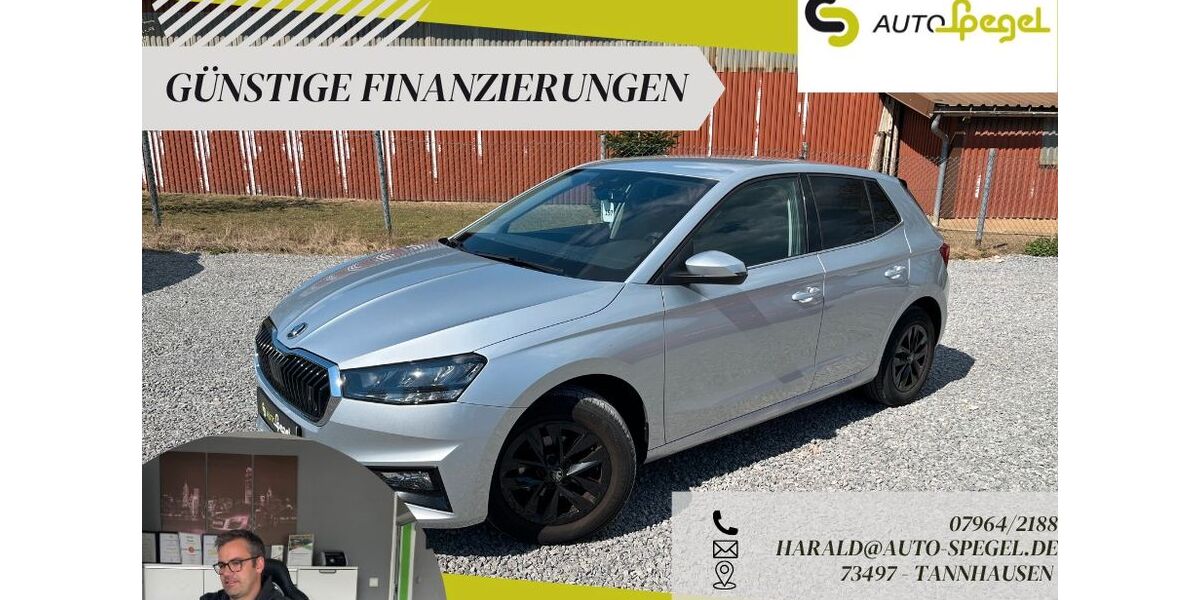 Skoda Fabia 13.444 km 16.390 &euro; Tannhausen 73497