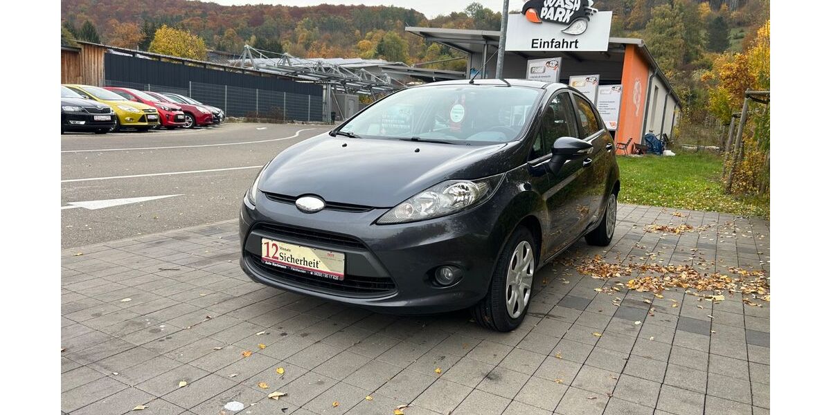 Ford Fiesta 129.431 km 3.799 &euro; Schnaitheim-Heidenheim 89520