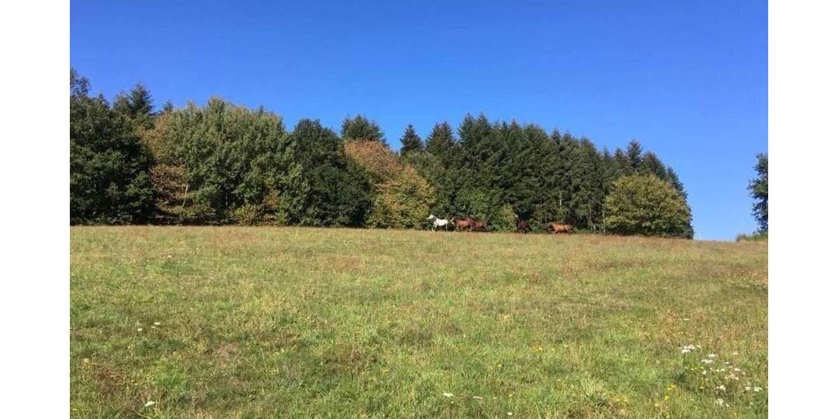 Mehrfamilienhaus, Wohnhaus Adelmannsfelden - 1 Zimmer, 375 m&sup2;, 1.399.000&euro; | Angebot:25746495