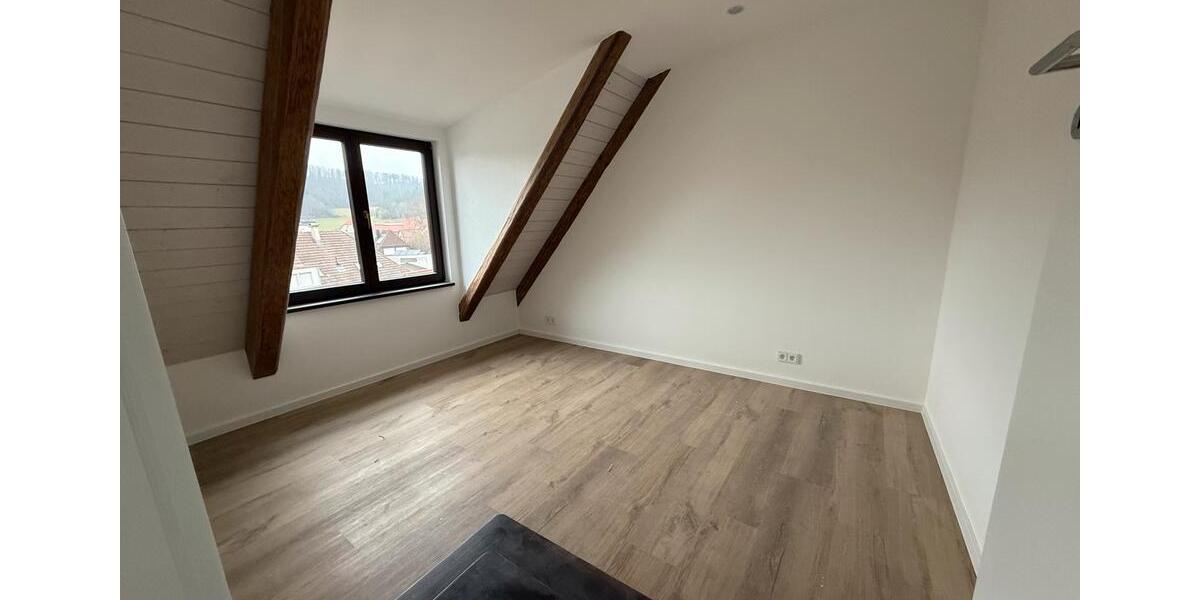 Dachgeschoßwohnung Aalen - 1 Zimmer, 60 m&sup2;, 750&euro; | Angebot:25446937