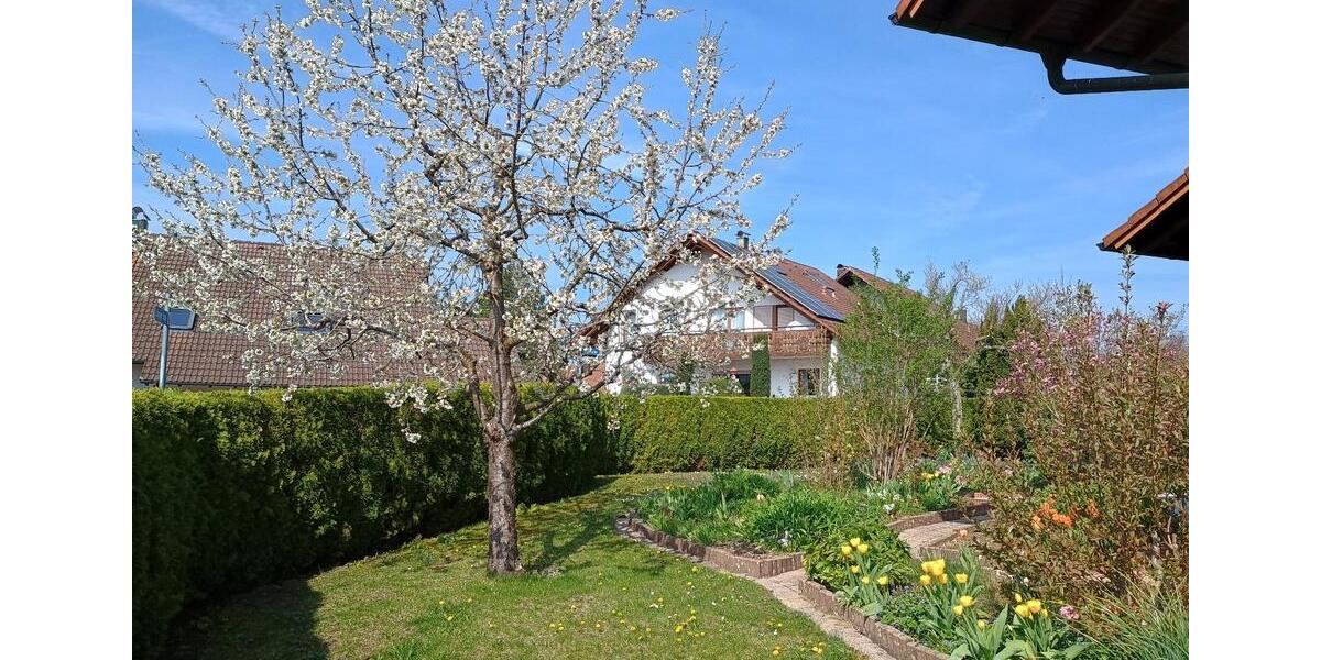 Einfamilienhaus Hüttlingen - 10 Zimmer, 255 m&sup2;, 715.000&euro; | Angebot:26835609