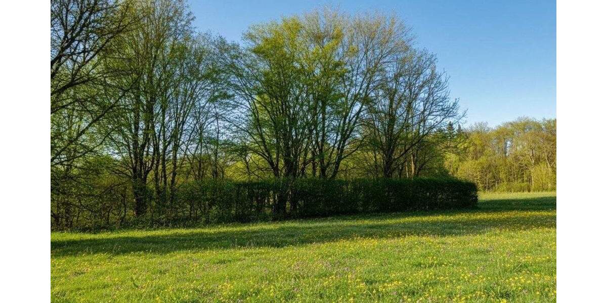 Grundstück Nattheim - 95.000&euro; | Angebot:25731070