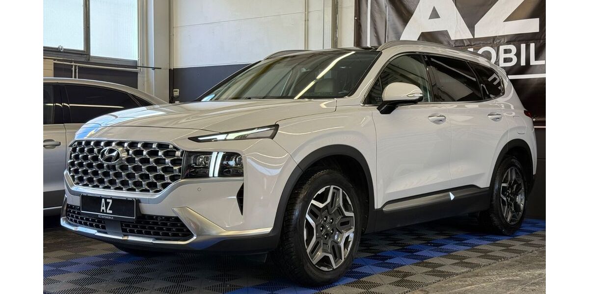 Hyundai SANTA FE 61.500 km 33.390 &euro; Mutlangen 73557