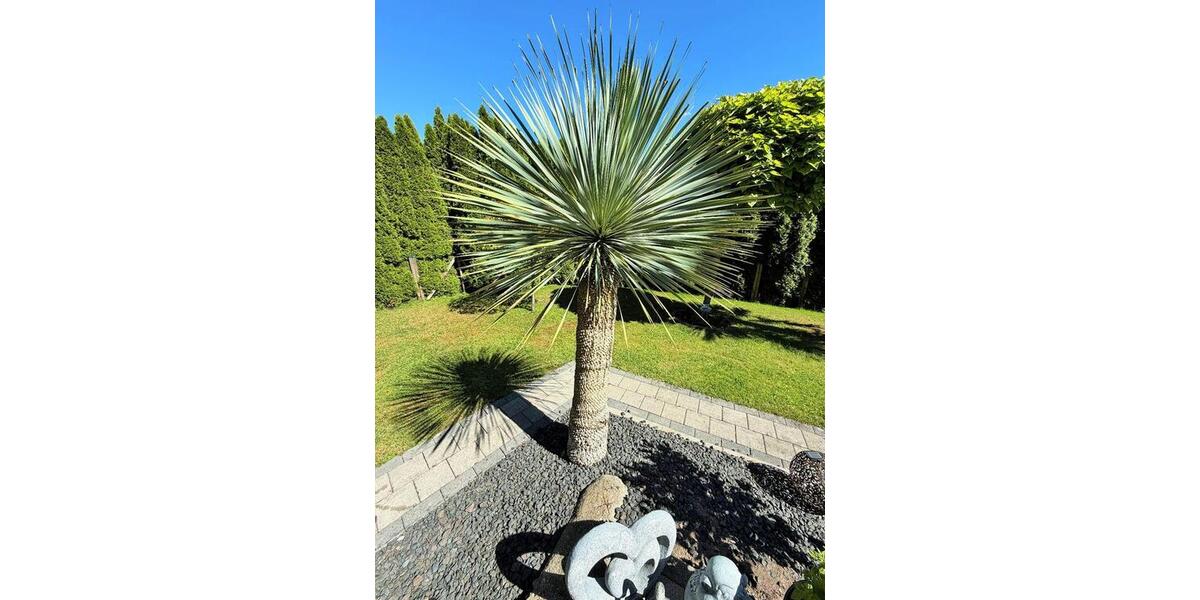 Einfamilienhaus Schwäbisch Gmünd Bargau - 4.5 Zimmer, 120 m&sup2;, 595.000&euro; | Angebot:27198572