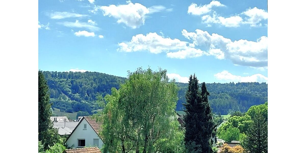 Provisionsfrei* EINZIEHEN & WOHLFÜHLEN 5 Zi.- Penthousefelling inkl. 2 Stpl. + EBK - Dachgeschoßwohnung Lorch | Angebot:27020705