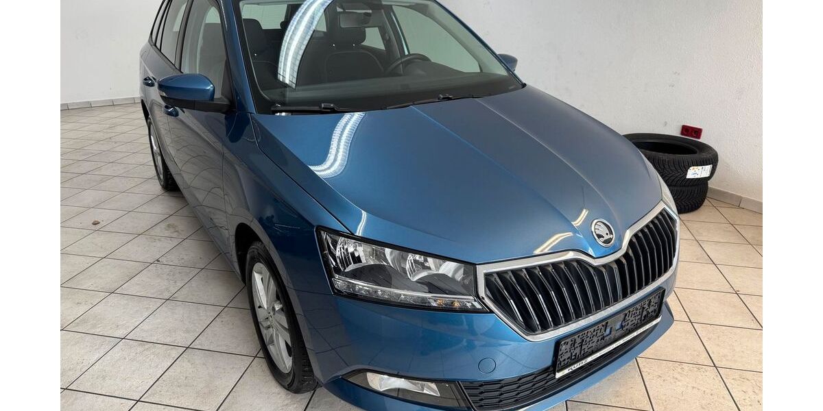Skoda Fabia 95.700 km 11.650 &euro; Rosenberg 73494
