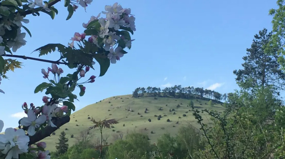 Terrassenwohnung Bopfingen - 4.5 Zimmer, 169 m&sup2;, 1.200&euro; | Angebot:25641341