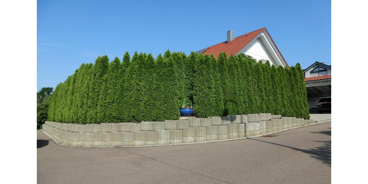 Einfamilienhaus Schwäbisch Gmünd Bargau - 4.5 Zimmer, 120 m&sup2;, 595.000&euro; | Angebot:27198572