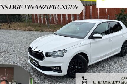 Skoda Fabia 18.557 km 16.390 &euro; Tannhausen 73497