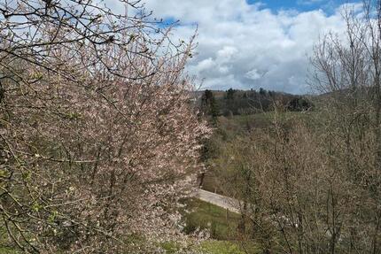 Wohnung Aalen Unterkochen - 2 Zimmer, 60 m&sup2;, 750&euro; | Angebot:25976185