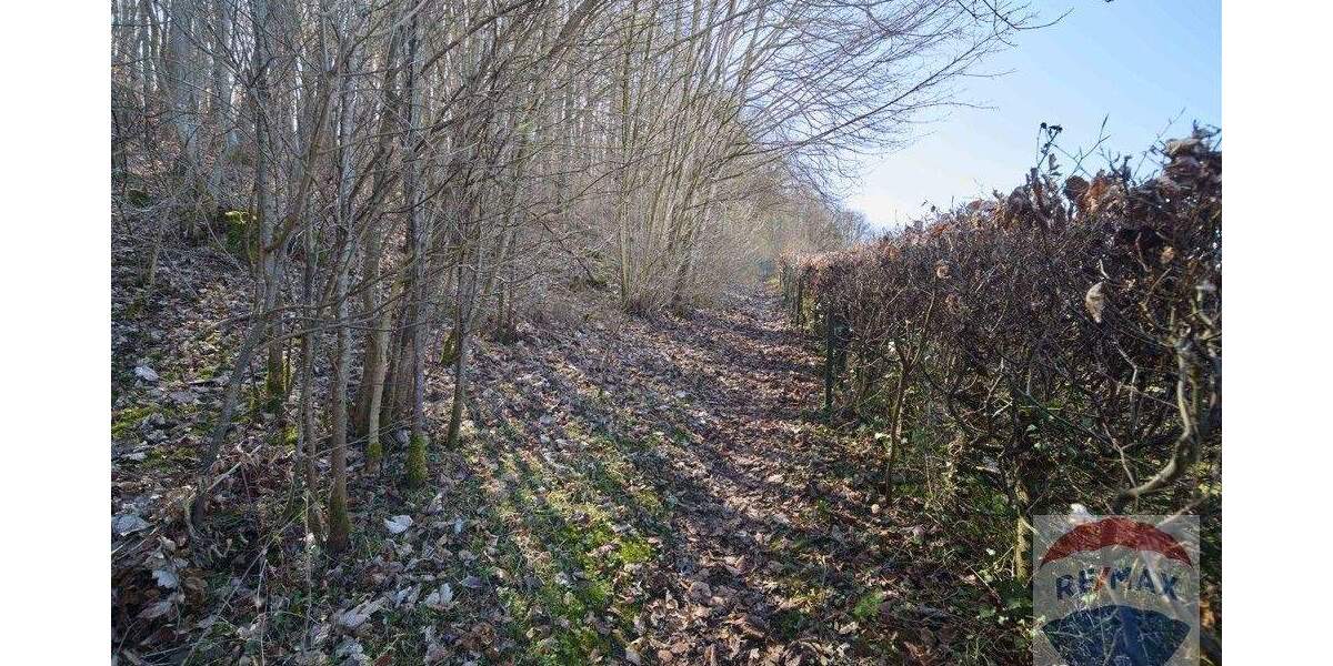 Einfamilienhaus Giengen Burgberg - 4 Zimmer, 127 m&sup2;, 320.000&euro; | Angebot:25771219