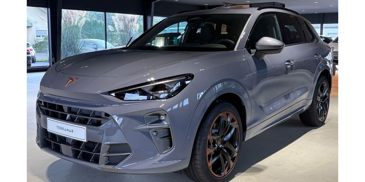 Cupra Terramar 5.000 km 46.990 &euro; Schwäbisch Gmünd 73527