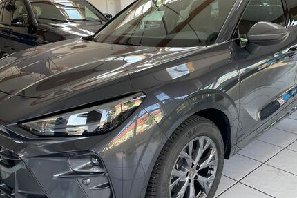 Cupra Terramar 3.000 km 33.900 &euro; Frankenhardt-Honhardt 74586