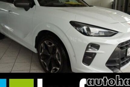 Cupra Terramar 8.994 km 33.990 &euro; Aalen-Dewangen 73434