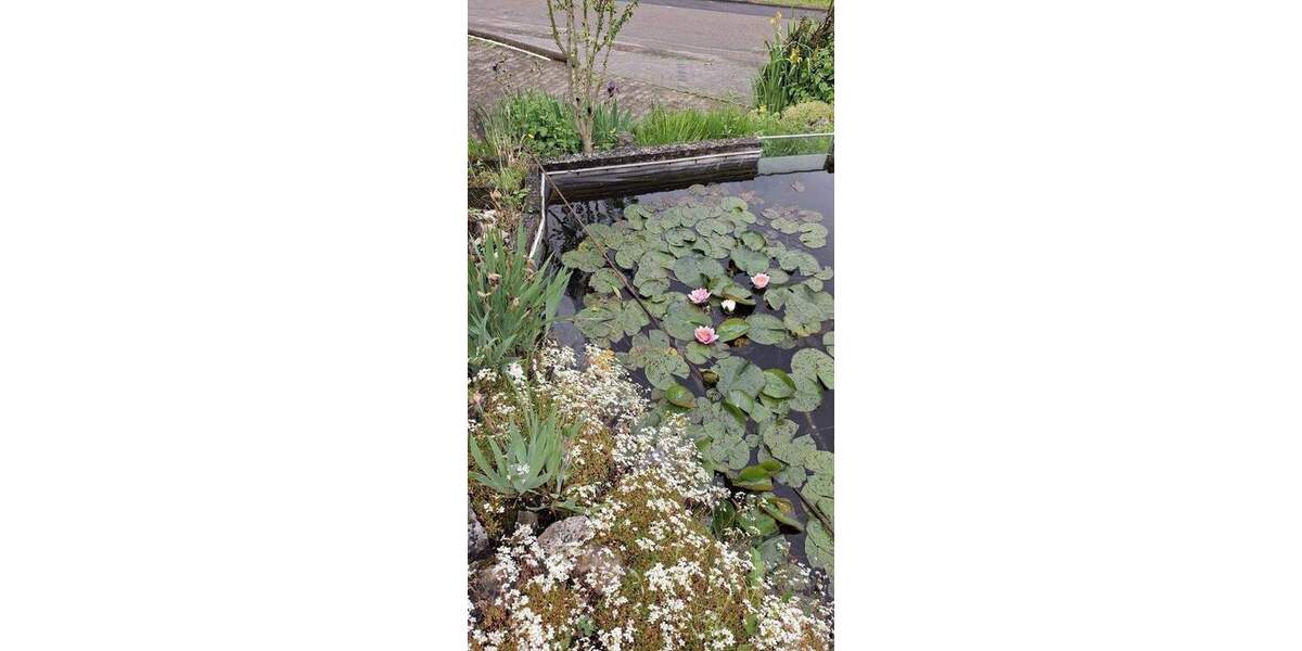 Einfamilienhaus Aalen-Attenhofen Wasseralfingen - 4 Zimmer, 125 m&sup2;, 549.000&euro; | Angebot:25716248