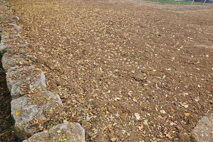 Grundstück Mutlangen - 160.000&euro; | Angebot:23795854