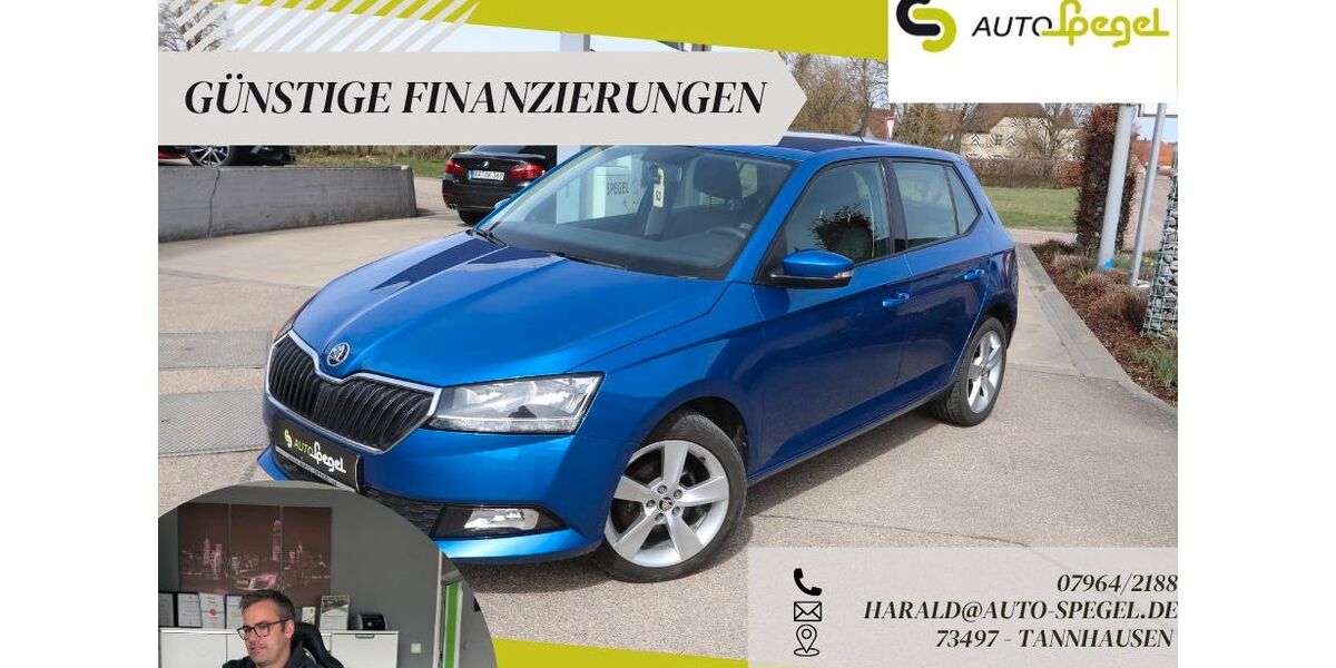 Skoda Fabia 78.773 km 10.990 &euro; Tannhausen 73497
